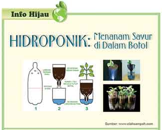 Hidroponik: menanam sayur di dalam Botol