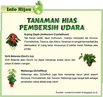 Tanaman Hias Pembersih Udara